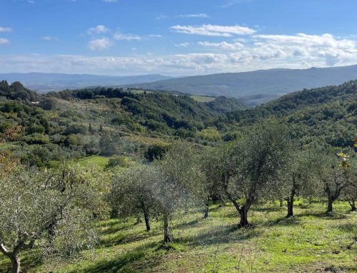 Must-visit places near Chianni