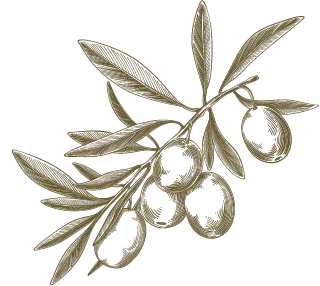 olijf